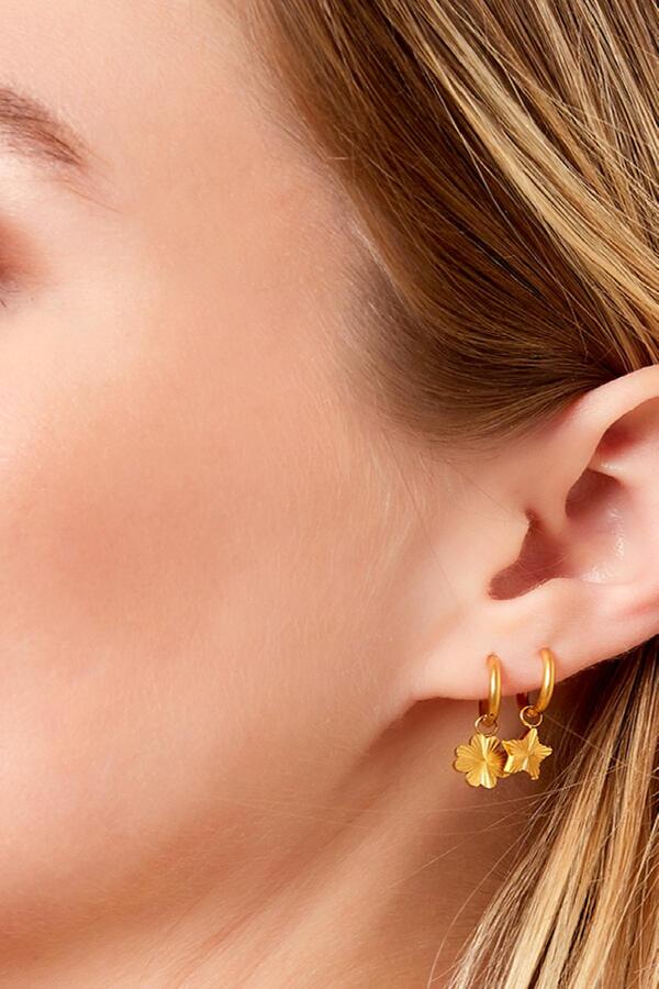 Stainles steel earrings clover